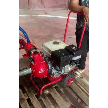 Máy bơm chữa cháy SEIKOO (THAILAND) công suất 13HP
