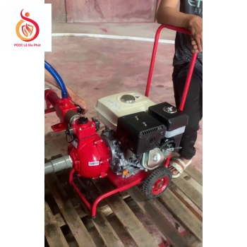 Máy bơm chữa cháy SEIKOO (THAILAND) công suất 13HP